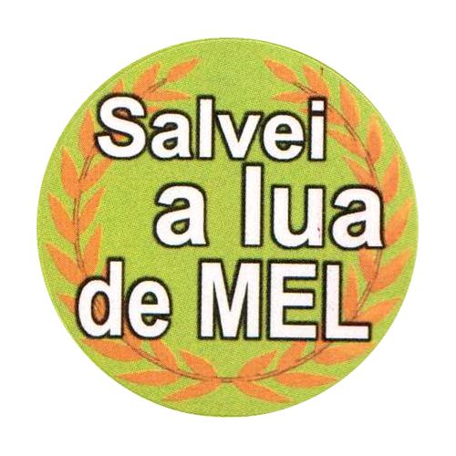 Adesivo para Casamento - Lá Vem o Noivo - 35 un.