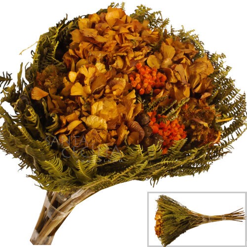 Buquê de Flores Secas - Hortênsia