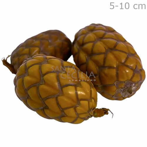 Buriti Desidratado 3 unid.
