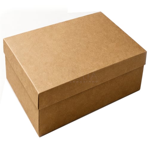 Caixa Kraft 10 unid. K59AC 35 x 25 x 13 cm - sem Visor