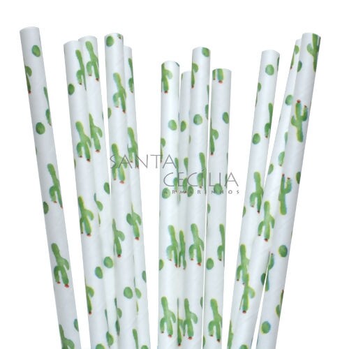 Canudo de Papel Cacto - pacote com 12 un.