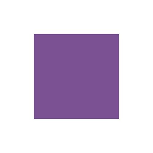Tingecor 40g. 25 Violeta