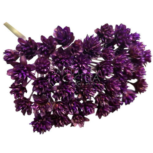 Espeta Nariz  Roxo - Flor Seca para Decoração