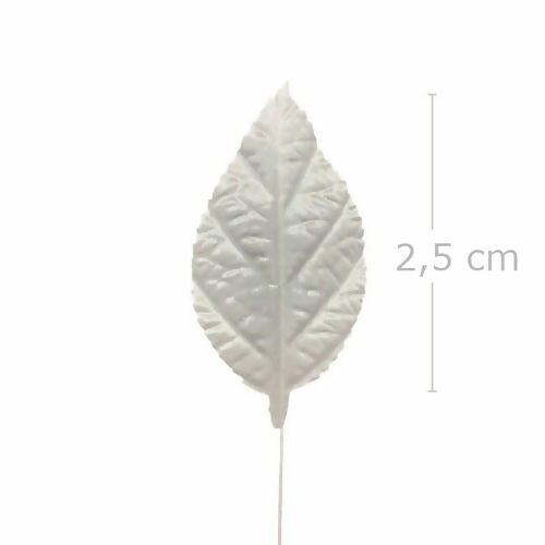 Folha de Rosa 60 unid. Branco - 1B