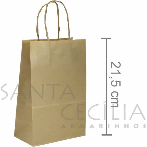 Sacola de Papel Pequena 21,5 x 17 x 8 cm - 10 unid. - Kraft
