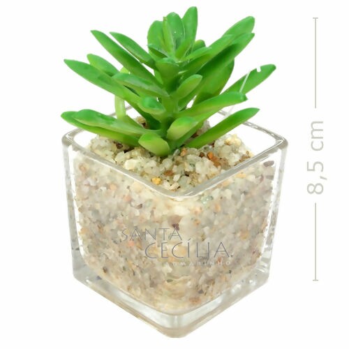 suculenta-vidro-mod1