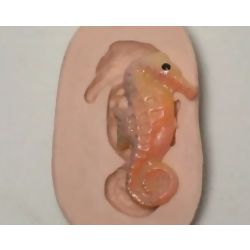 Molde de Silicone - Cavalo Marinho Ref. 195