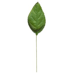 Folha de Rosa 60 unid. Verde - 5c