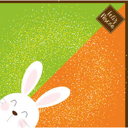 Express para Ovos de Páscoa - Bicolor de Páscoa Ref. 88500177 - 35 x 35 cm - 25 unidades