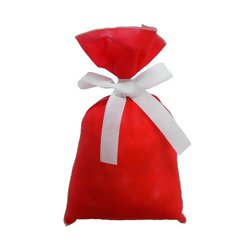 Saco de T.N.T Nº 4 - 22x40cm - 10 unid. - Cores Diversas