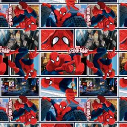 Spiderman_Saco_Spectacular_SpiderMan.45-59