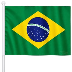 Bandeira do Brasil 13,5 x 21 cm Kit 12 unid.