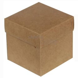 Caixa Cubo 10x10x10cm 10 Unidades