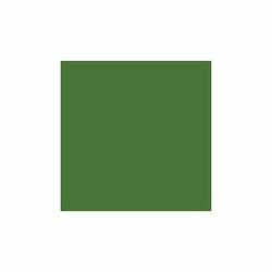 Sintex Cor 40g - 46 Verde Musgo