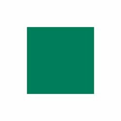 Corante para Jeans Color Jeans 40g - 20 Verde