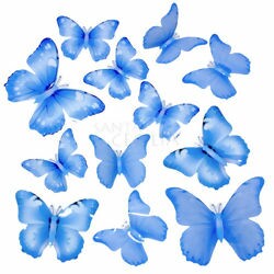 Borboleta Decorativa 12 unid. Ref. T-13
