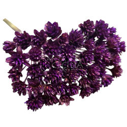 Espeta Nariz  Roxo - Flor Seca para Decoração