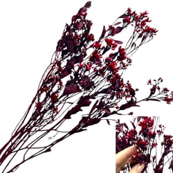Flor Seca Desidratada - Chuvisco