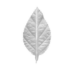 Folhas de Cetim Engomado Branco - Modelos Diversos