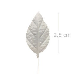 Folha de Rosa 60 unid. Branco - 1B