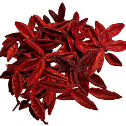 Fruto Estrela Desidratado 50gr