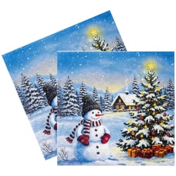 Guardanapo de Papel Decoupage 20 unid. Cool Guard 33321200
