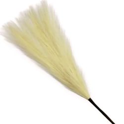 Haste dos Pampas 9165-13