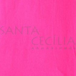 Meia de Seda Lisa  Pink Cítrico