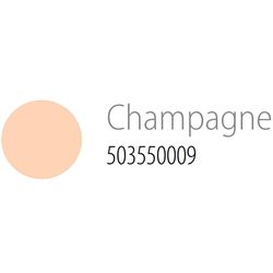 Paint Draw 300ml. 170 Champagne