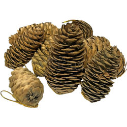 Pinhas Natalinas de Fibra Natural 10 unid. - Ref. MD-10