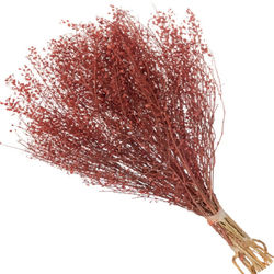 Capim Sementinha Desidratada - Diversas Cores