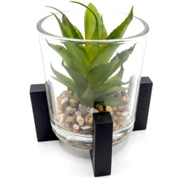 Suculenta Artificial com Vaso de Vidro e Suporte 11,5cm Ref. CB4826