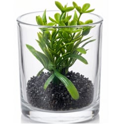 Suculenta Artificial com Vaso de Vidro 8cm Ref. MOD2