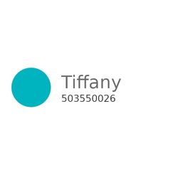 Paint Draw 300ml. 310 Tiffany