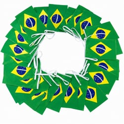 Varal de Bandeiras do Brasil 14 x 21 cm 10 metros