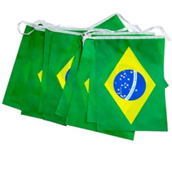 Varal de Bandeiras do Brasil 20 x 30 cm 5 metros