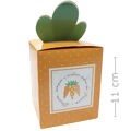 Caixa Pop-up 11cm - 10 unid. - Ref. 13005548 Fresh