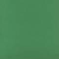 Folha de EVA para Artesanato 40x60cm - Verde Bandeira Ref 9703