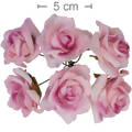 Rosa EVA M Ref. 0002 - 6 unid - Pink