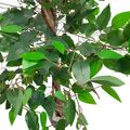 Árvore Artificial Ficus 1,8m Ref. 8409B