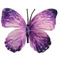 Borboleta Decorativa 10 unid. Ref. 6208 Diversas Cores Cor:Roxo/Lilás M2