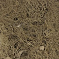 Musgo Barba da Serra Natural  30g