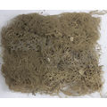 Musgo Barba da Serra Natural  30g
