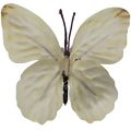 Borboleta Decorativa 10 unid. Ref. 6208 Diversas Cores Cor:Branco/Amarelo M2