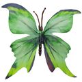 Borboleta Decorativa 10 unid. Ref. 6208 Diversas Cores Cor:Verde/Preto