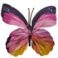 Borboleta Decorativa 10 unid. Ref. 6208 Diversas Cores Cor:Rosa/preto
