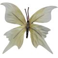 Borboleta Decorativa 10 unid. Ref. 6208 Diversas Cores Cor:Branco/Amarelo