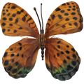 Borboleta Decorativa 10 unid. Ref. 6208 Diversas Cores Cor:Laranja/preto