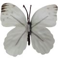 Borboleta Decorativa 10 unid. Ref. 6208 Diversas Cores Cor:Branco