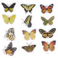 Borboletas Decorativa 40 unid. Ref. HDH-40 Cor:Amarelo